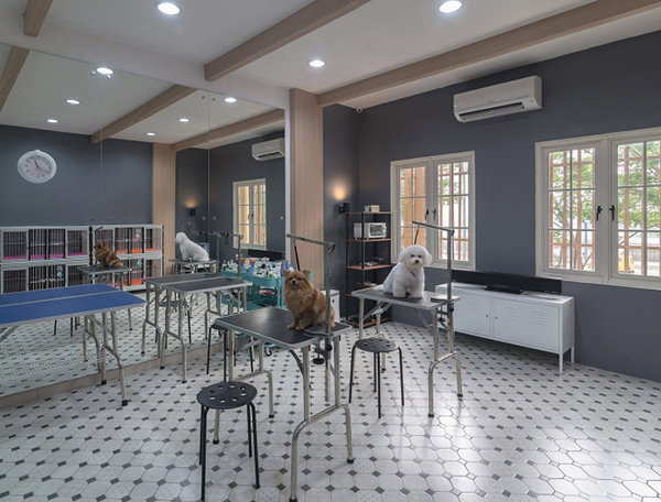 咖啡館寵物店裝修注意事項？